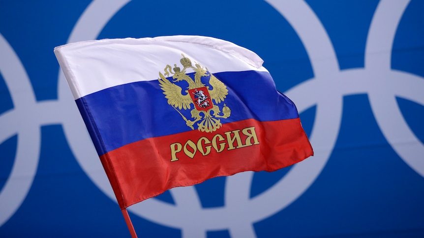 A Russian supporter waves a flag.