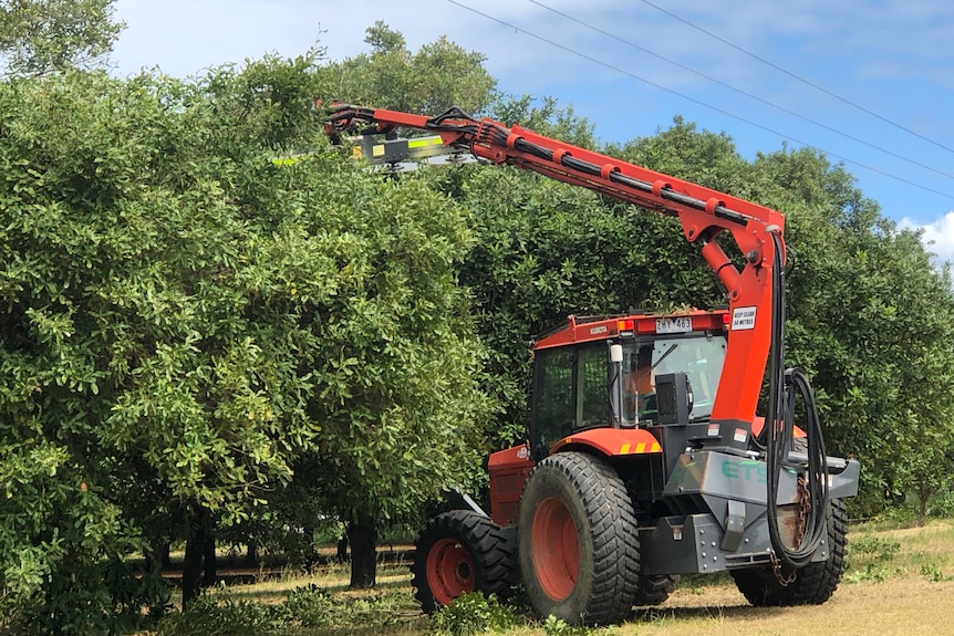 The tractor with a long arm with saws on it working on trees.