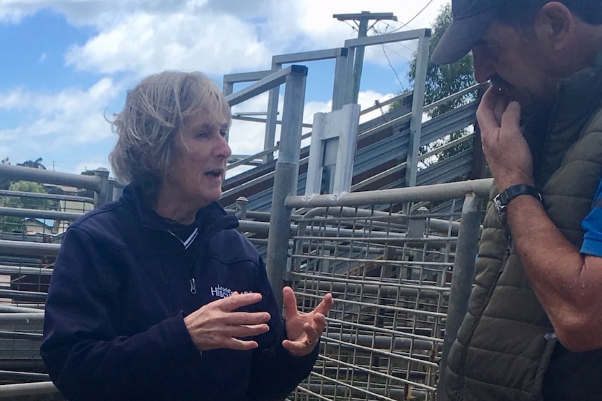 A grey haired woman talks to a man at a livestock saleyard.