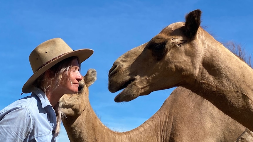 A close up of a woman in a hat, against blue sky, waits while a camel comes close to her face