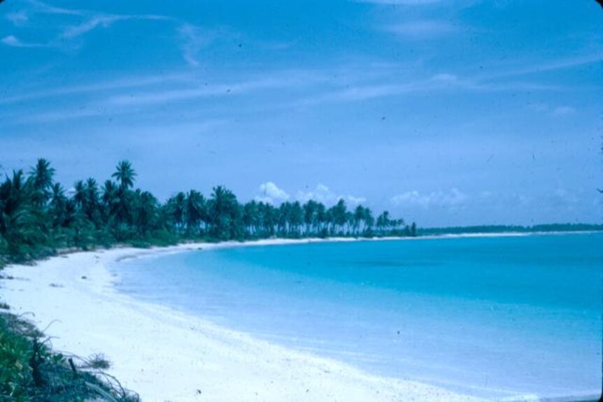 An old photograph of a pristine tropical beach.
