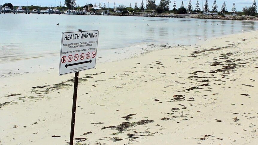 Marina Beach health warning at Jurien Bay