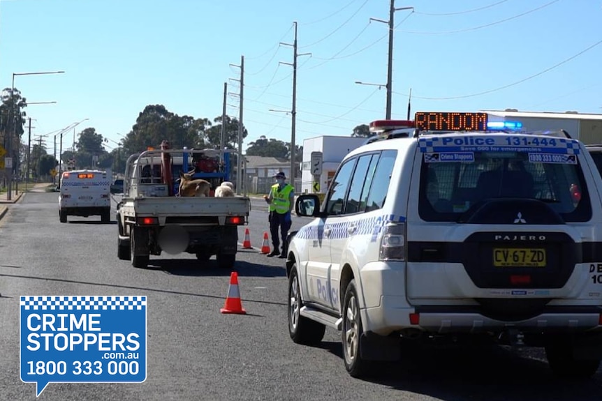 A police officer standing next to a ute flanked by two police cars.