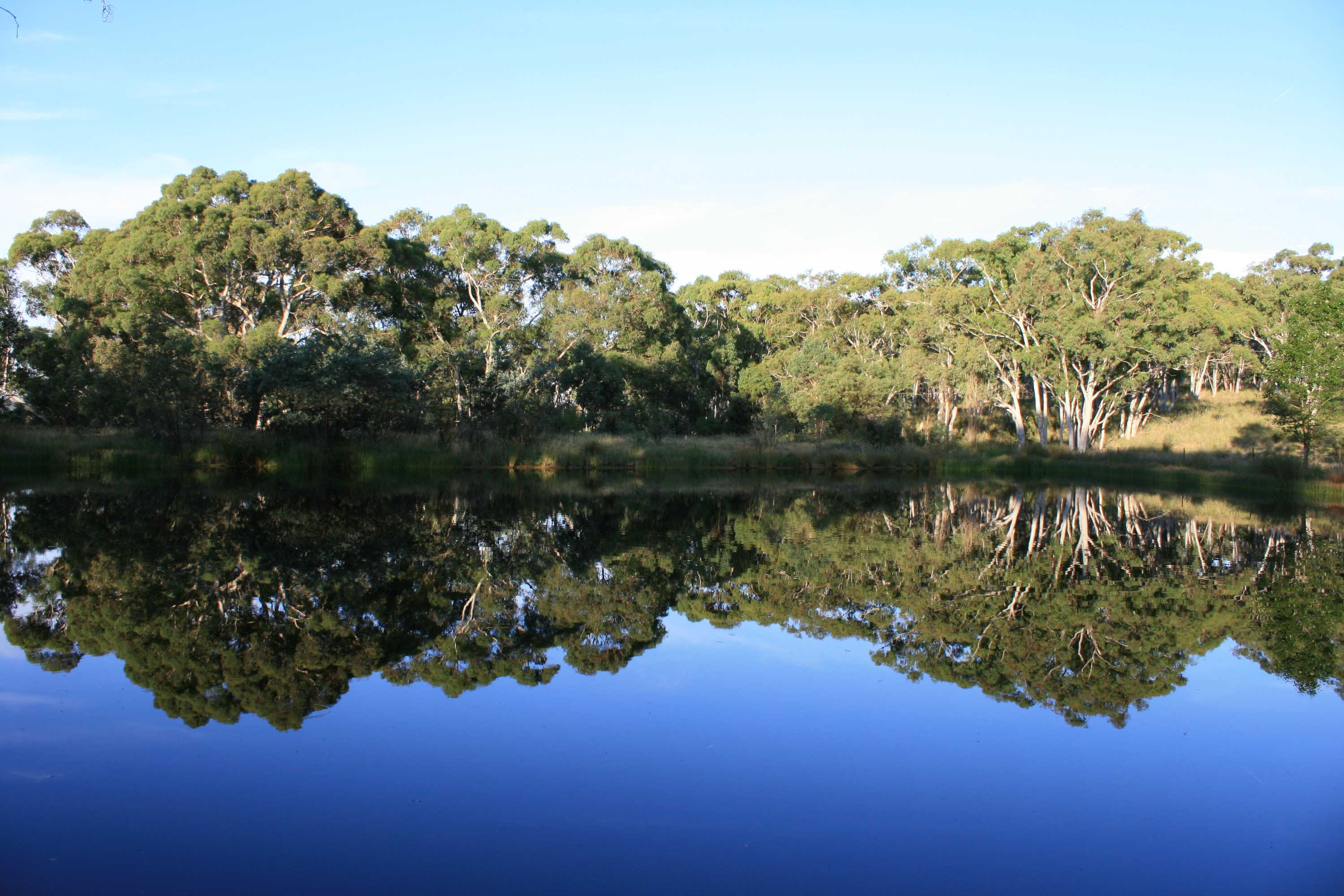 a clear blue sky is reflected like a mirror in a dam, with trees around and an air of peace.