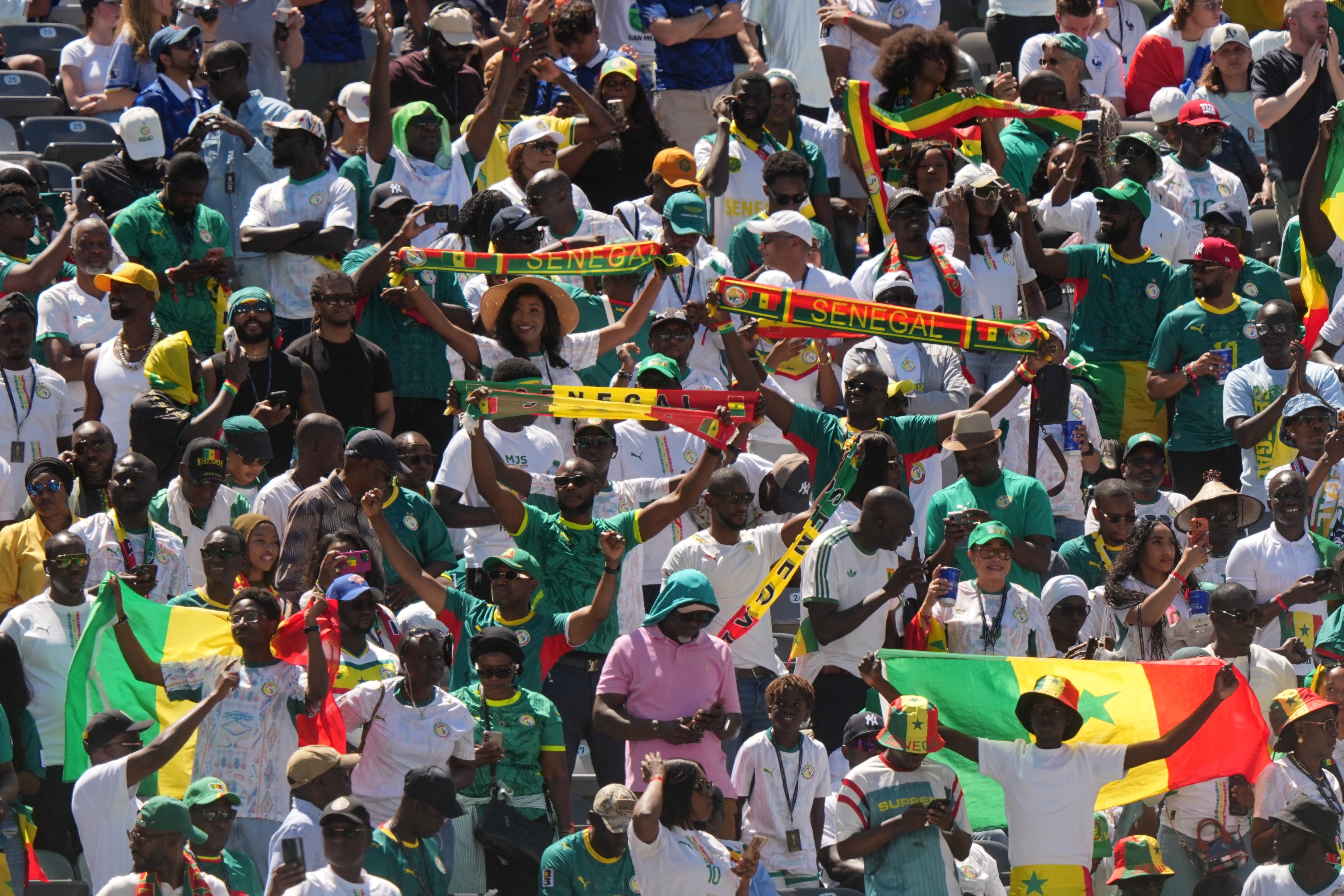 A large group of Senegal fans hold flags and scarves and cheer during a game