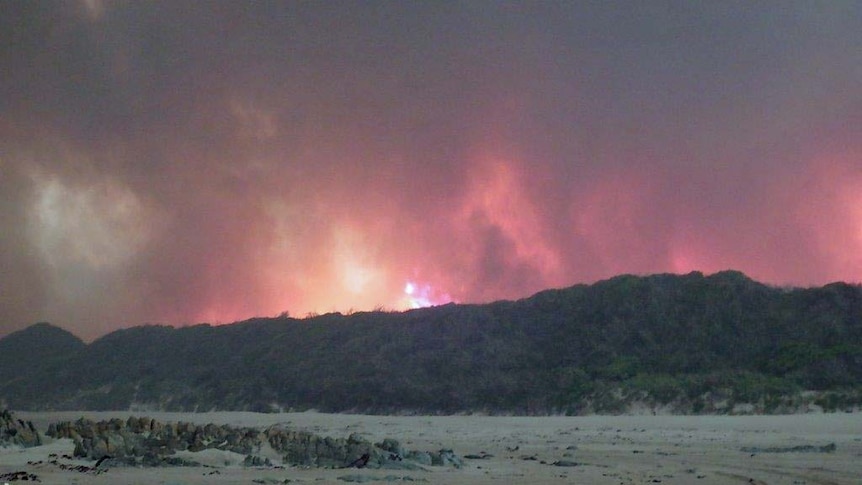 Flames leap behind a Nelson Bay shack