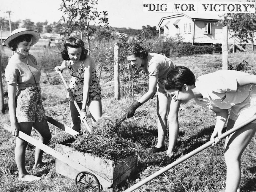 Four women tend to a garden during WWII, part of Australia's "Dig For Victory" campaign