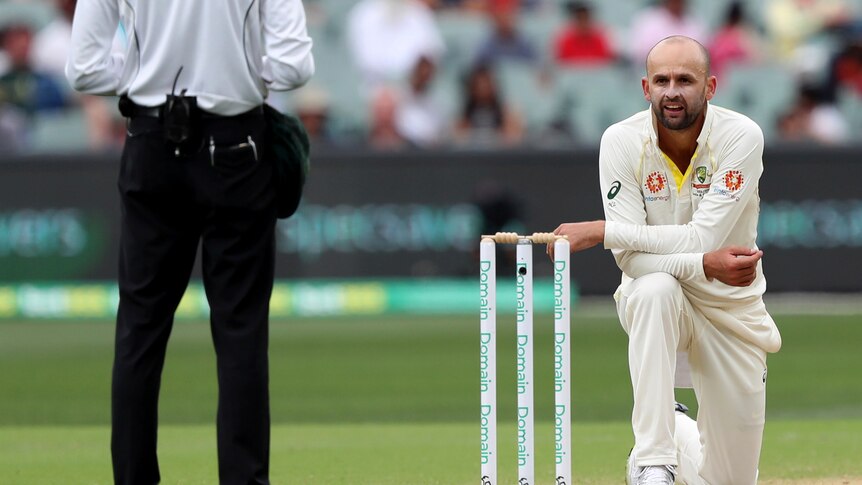 Australian bowler Nathan Lyon, on one knee, looks at the umpire in anguish.
