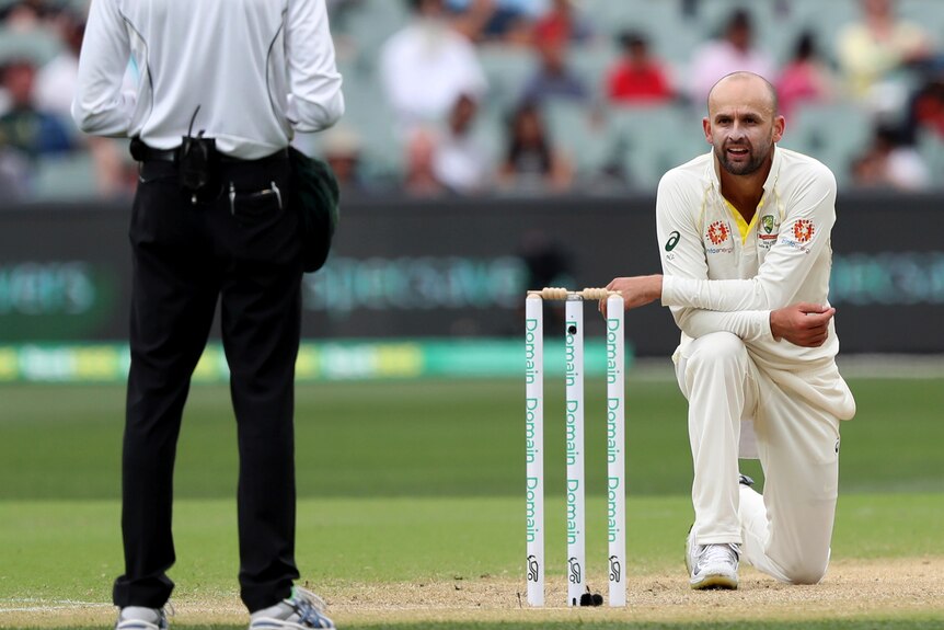 Australian bowler Nathan Lyon, on one knee, looks at the umpire in anguish.