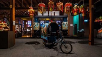 A colourful Chinese rickshaw stands surrounded by Chinese lanterns.