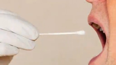 A cotton tipped swab being used to collect a saliva sample from inside a woman's mouth.