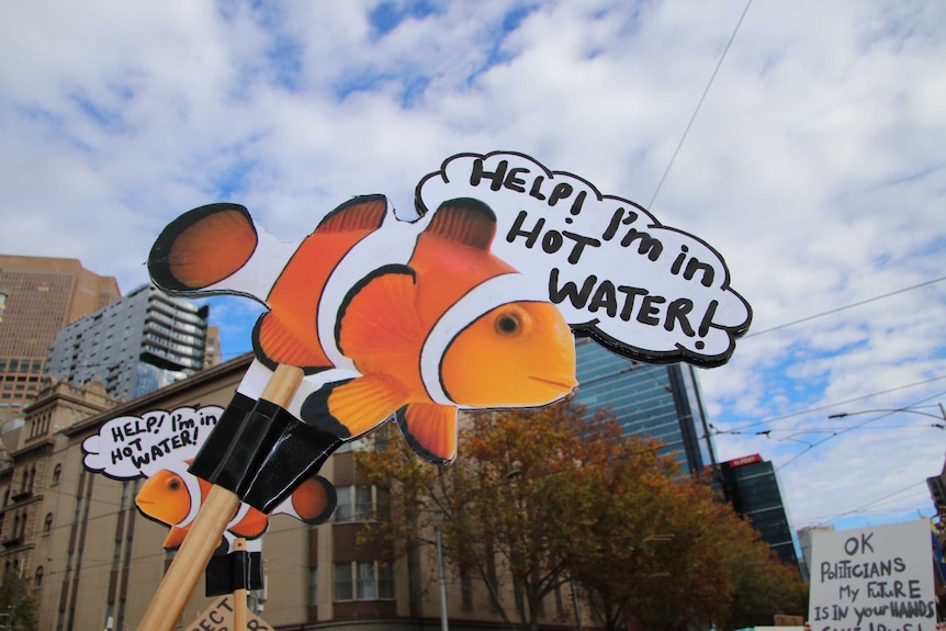 A sign of Nemo saying "help I'm in hot water' at the climate change rally.