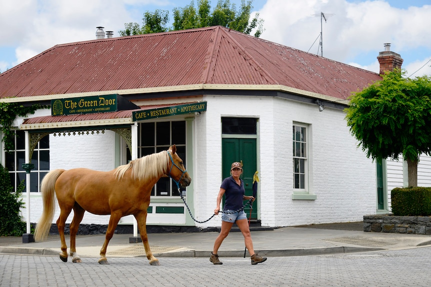 A woman walks a horse through a town. 