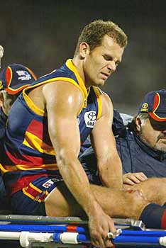Carey, Bassett to return for Sydney clash - ABC News