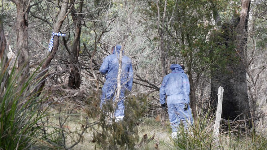 Two blue-suited forensics police walk through bushland.