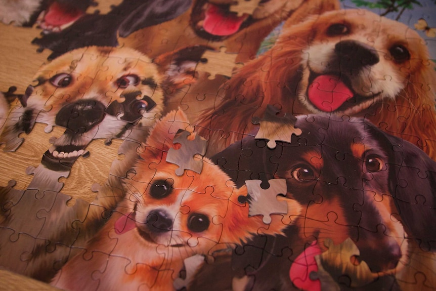 A partially made puzzle of dogs