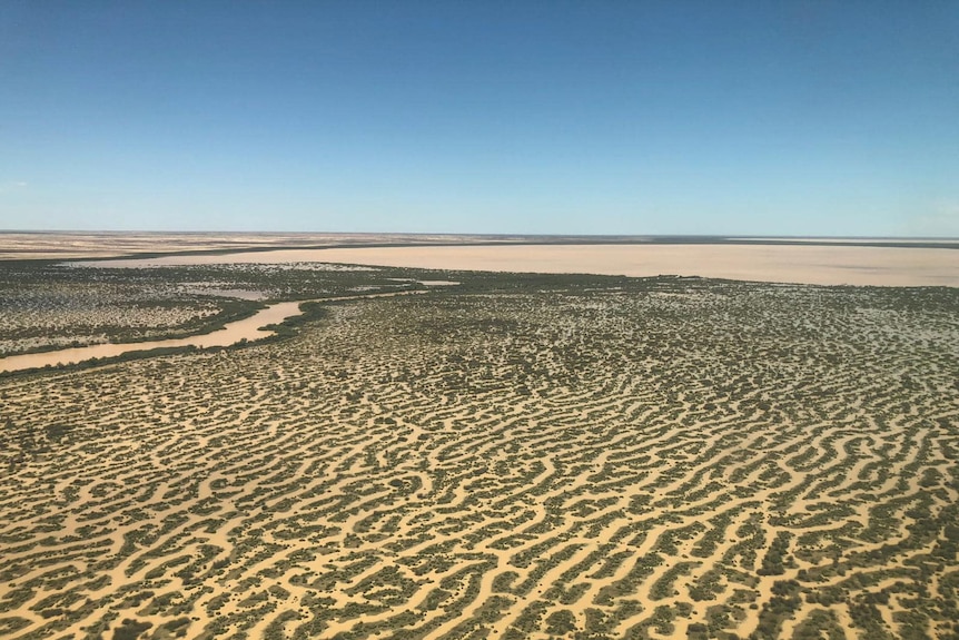 Flooded wetlands of the Lake Eyre Basin