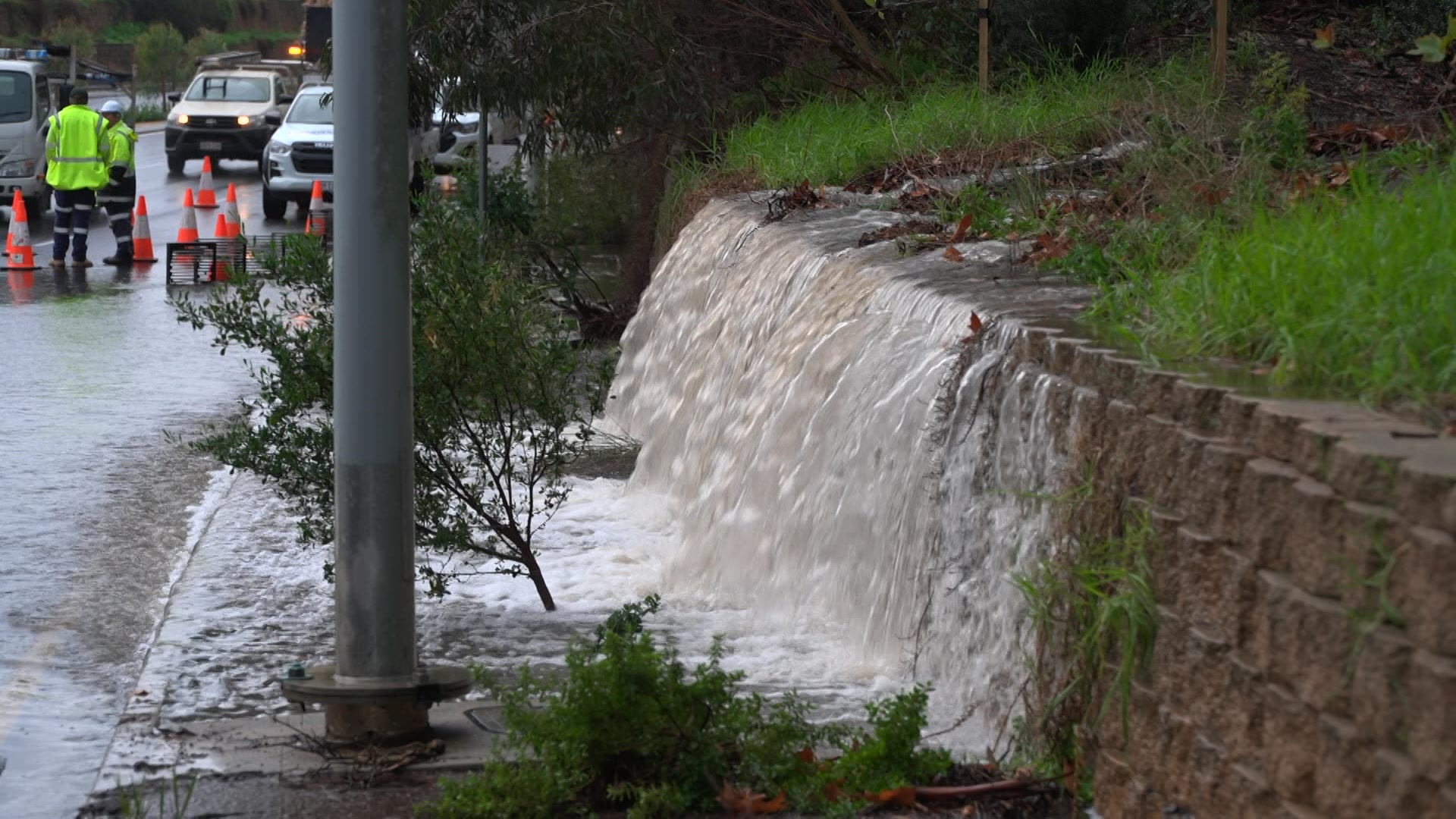 Adelaide gets 70 per cent of July rain in one day, farmer has 228.5 reasons to smile