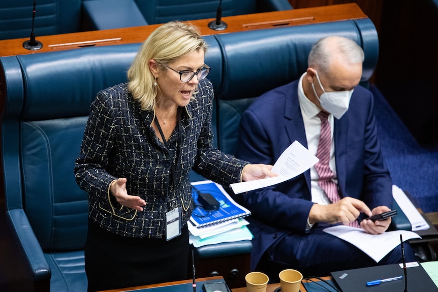 A blonde woman stands and speaks, while a man in a suit sits next to her with a mask on.