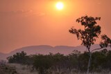 The sun sets over bushland in the Kimberley.