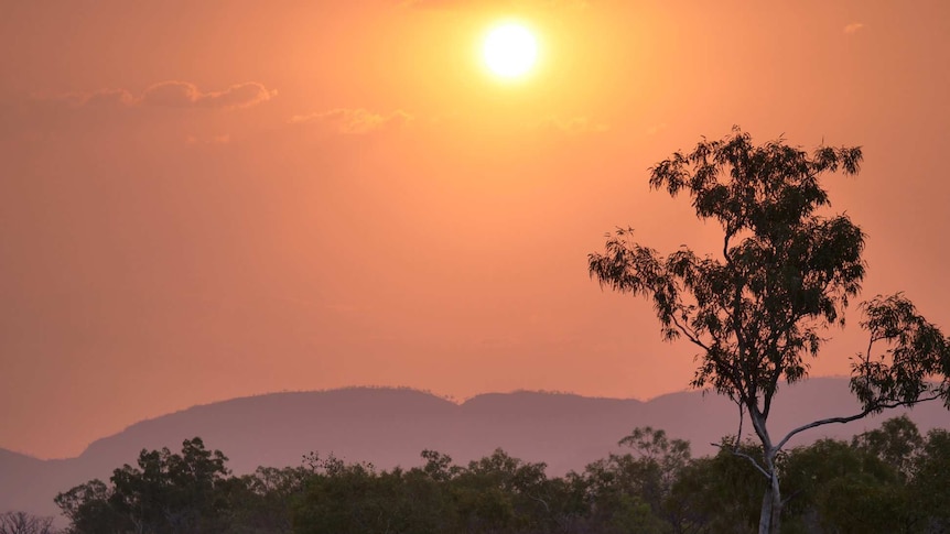 The sun sets over bushland in the Kimberley.
