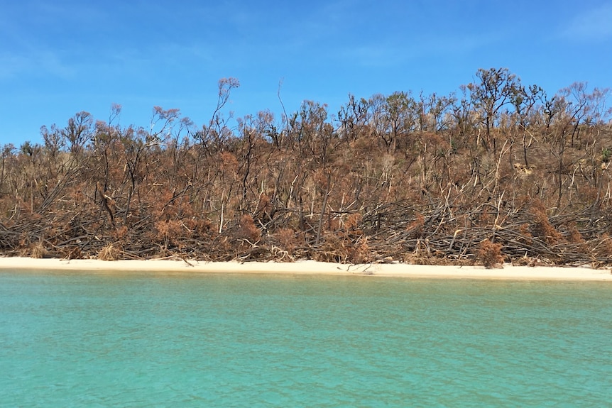 Section of Whitehaven Beach off north Queensland in April 2017, which was damaged by Cyclone Debbie on March 28, 2017