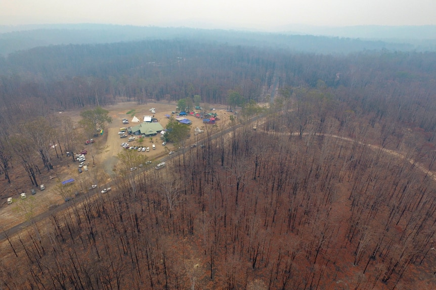 Aerial photo of burnt forest and surrounding the hall with tents and stages.