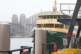Ferry arrives in Sydney Harbour