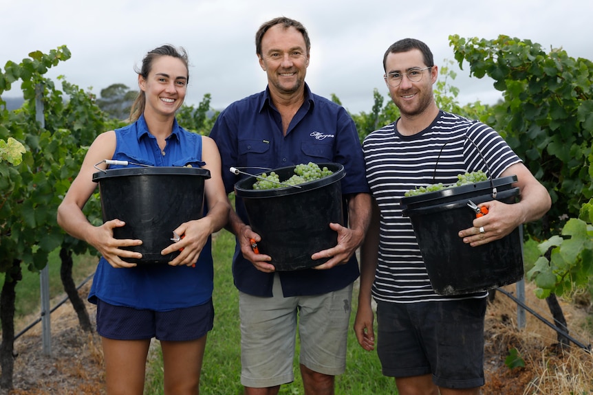 A young woman and two men stand holding wine grapes in black buckets.