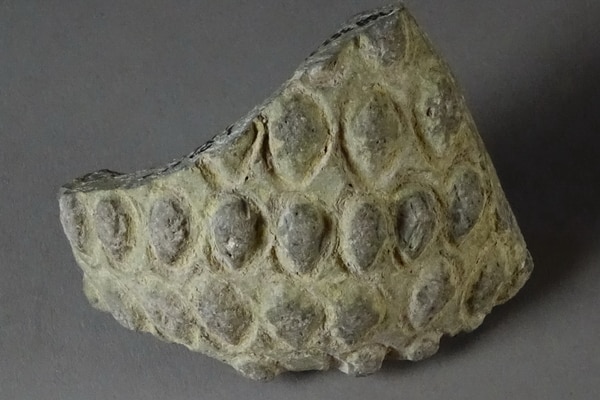 Un fragment d'un ancien vase sphéro-conique en argile
