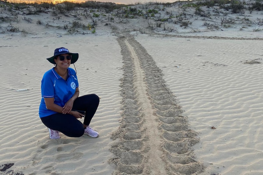 Woman with blue shirt and hat squats down next to large turtle track in sand leading to dunes