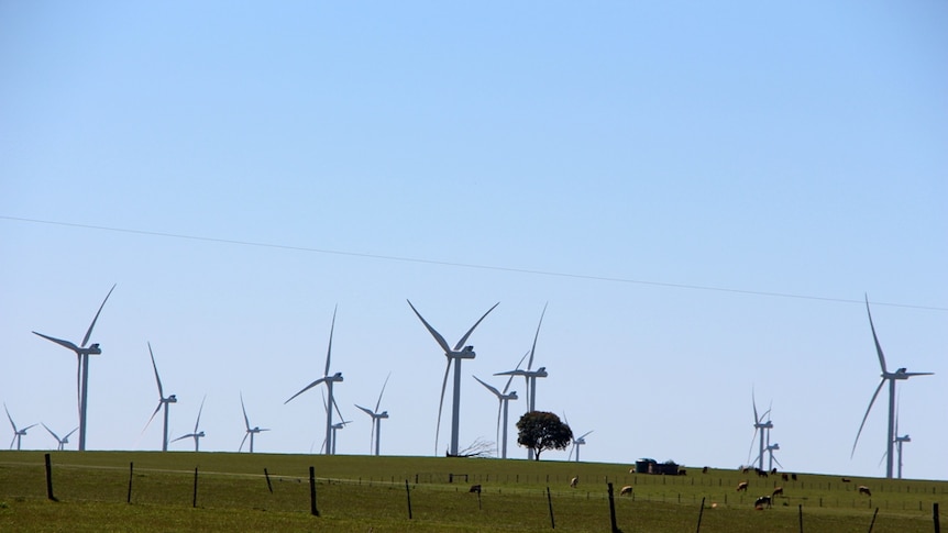 Victorian Labor has pledged it will reintroduce a renewable energy target if it wins the election on Saturday.