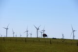 Victorian Labor has pledged it will reintroduce a renewable energy target if it wins the election on Saturday.