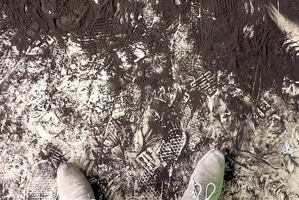 brown coal dust footprints
