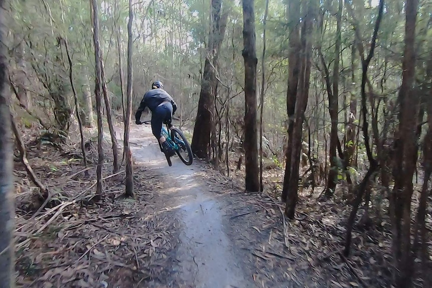 MTB rider jumping through the trees moving away from camera