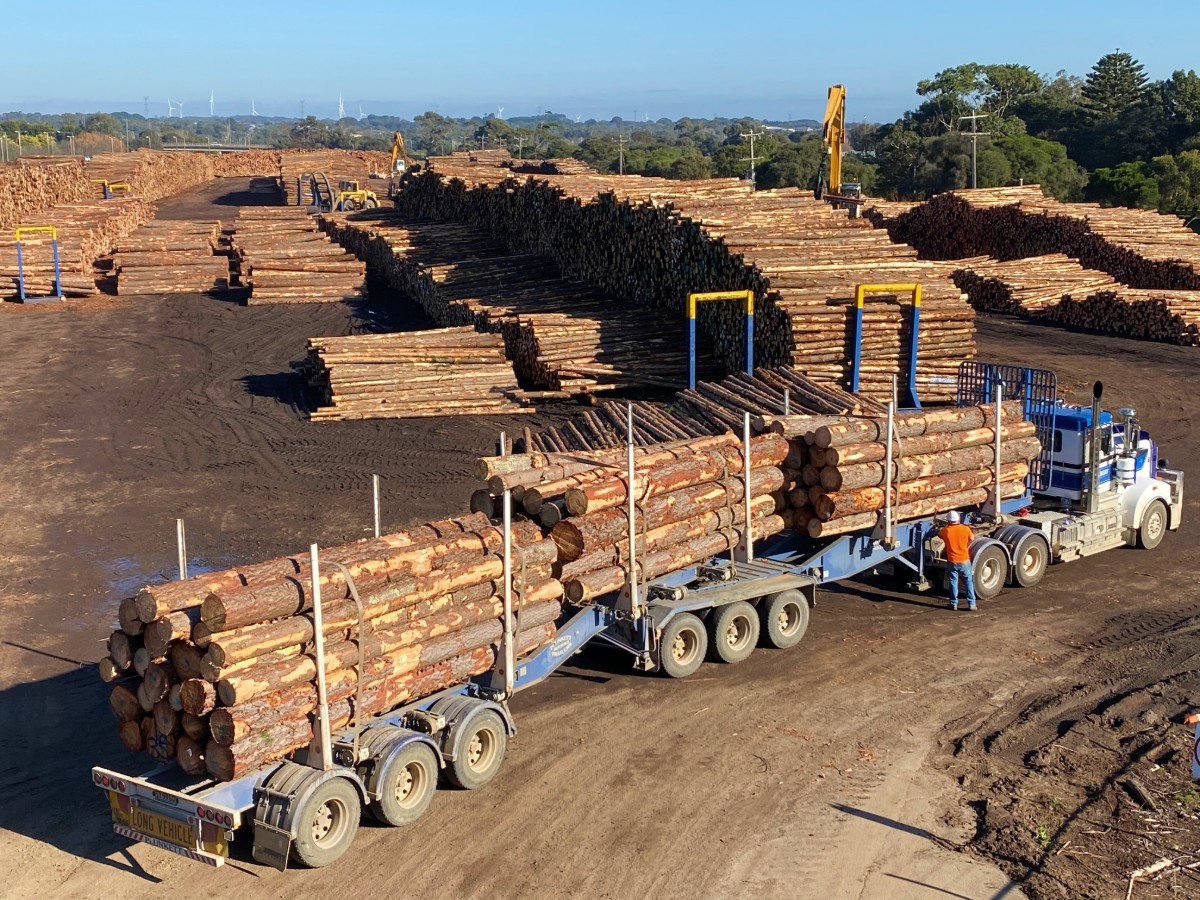 A large truck carrying neatly piled wood logs enters a large yard with thousands of large wooden logs.