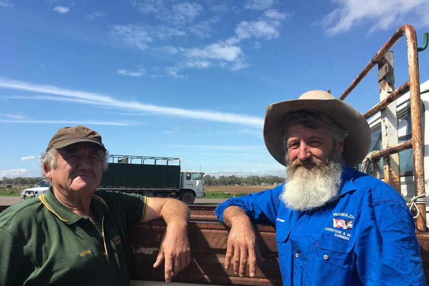 Farmers and Stock Carriers Alan Hardes and Robbie Whieldon at the Scone Saleyards.