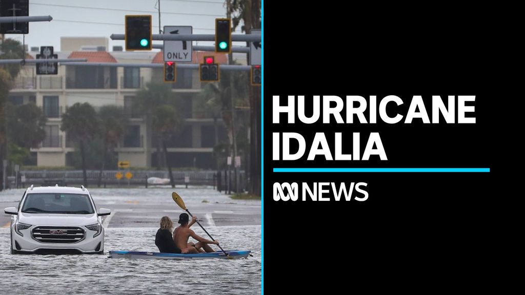 Global Indigenous language conference underway in Darwin ABC News
