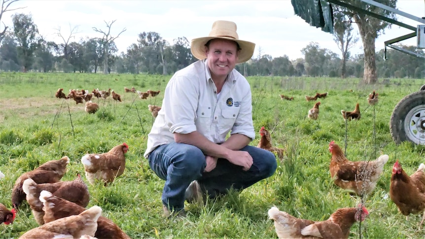 Man squats in green paddock surrounded by brown hens 