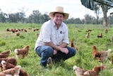 Man squats in green paddock surrounded by brown hens 
