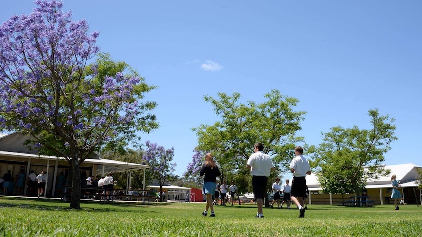 Students walk on a lawn under a jacaranda tree in full bloom at Georgiana Molloy Anglican School.