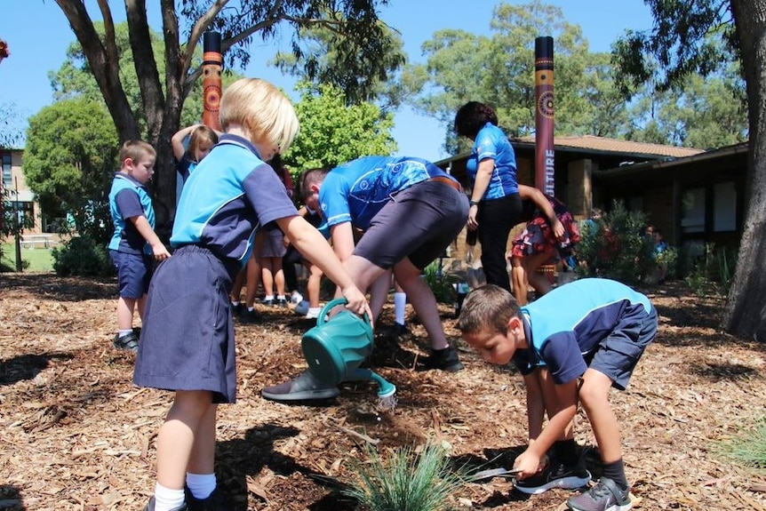 A child waters a plant while another watches on.