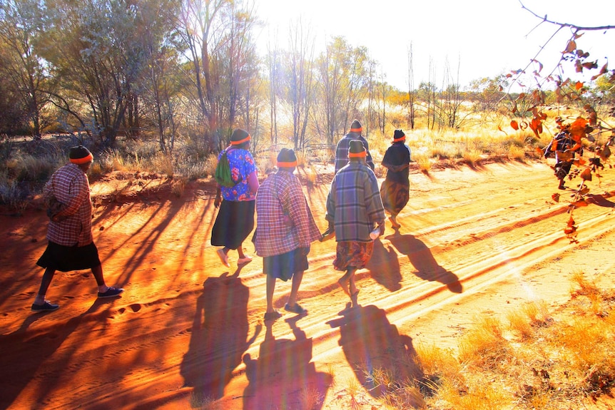 Winparrkulakutu walkers