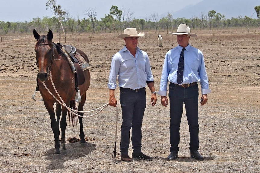 deux hommes se tiennent sur une propriété sèche en chapeaux, à côté d'un cheval