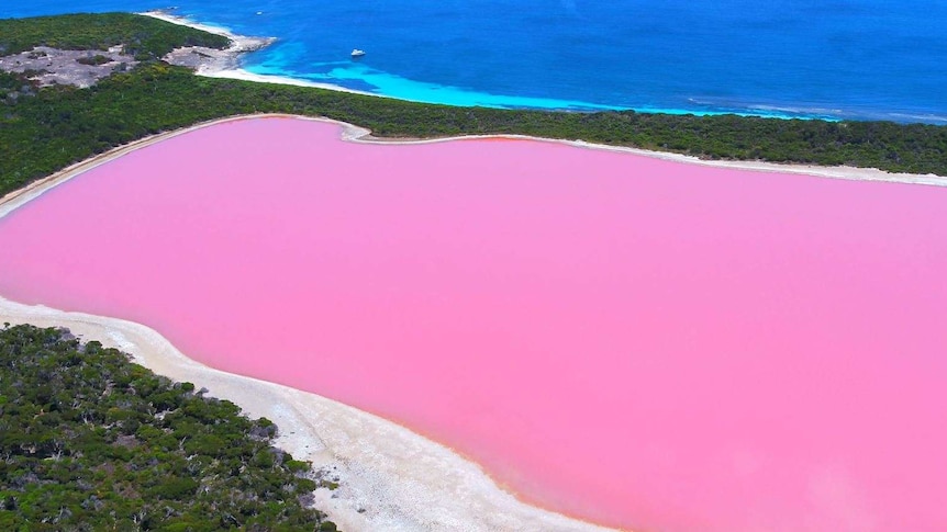 Lake Hillier on Middle Island.