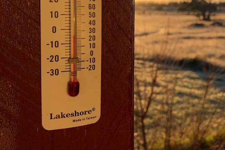A temperature gauge in a paddock.