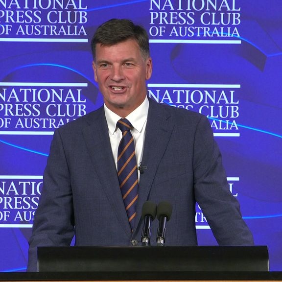 Shadow Treasurer Angus Taylor speaking during a National Press Club speech.