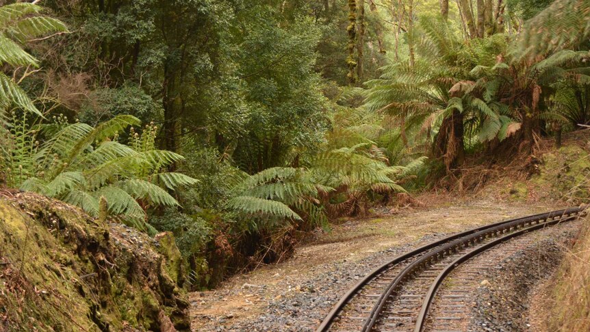 The West Coast Wilderness Railway