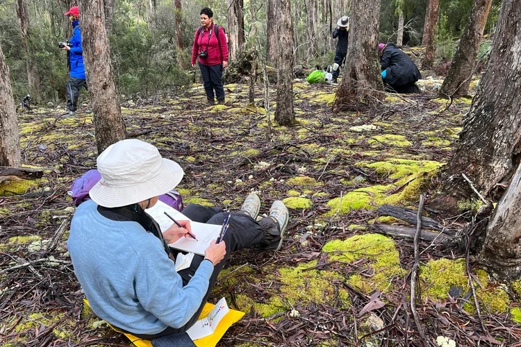 a woman in outdoor gear is sitting in the bush on some moss drawing in a notebook