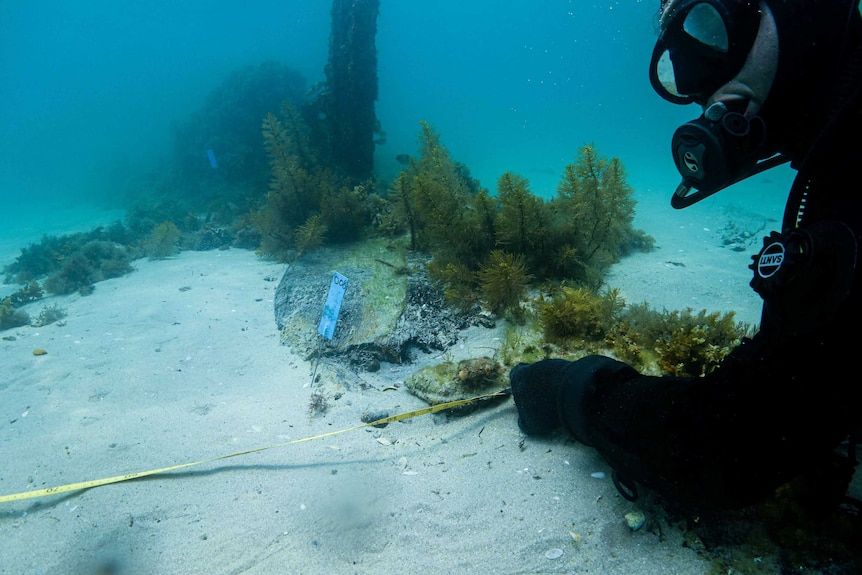 A diver holds a tape measure underwater, with seaweed and parts of a wrecked boat